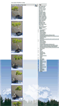Mobile Screenshot of indoorbonsai.biz